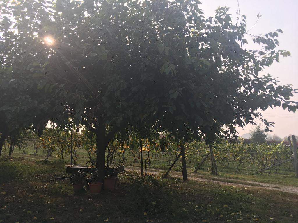 Verolanuova Le Magnolie Agriturismo מראה חיצוני תמונה
